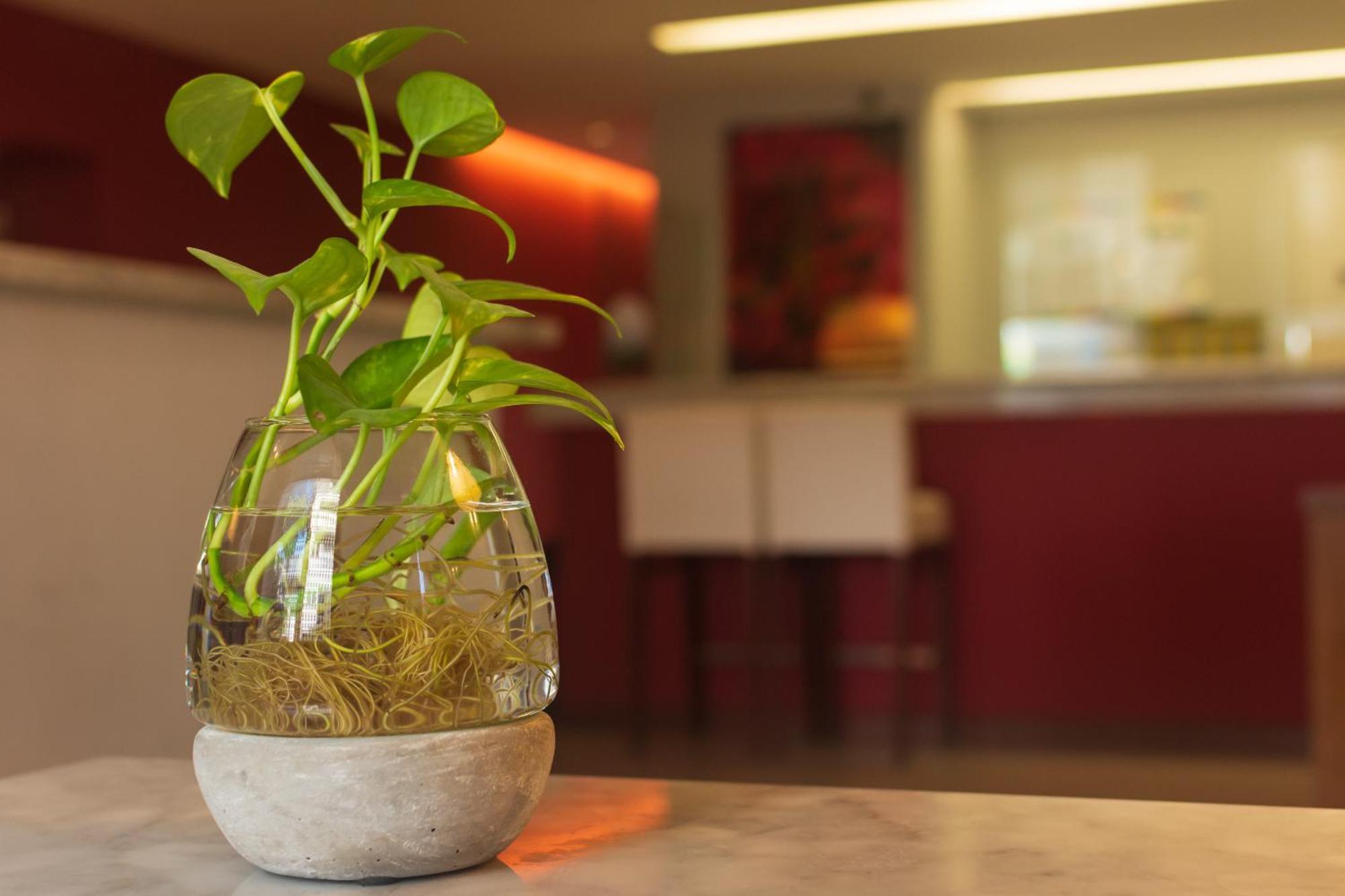 רוסאריו 1412 Hotel Boutique מראה חיצוני תמונה